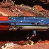 Chrome Clip